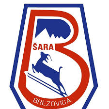 Logo Brezovica