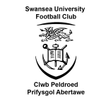 Logo Swansea University