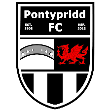 Logo Pontypridd