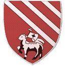 Logo Droylsden