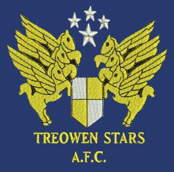 Logo Treowen Stars